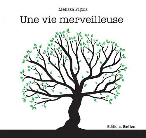 Une vie merveilleuse 9782917289815
