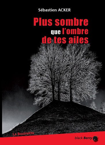 Plus sombre que l'ombre de tes ailes 9782915729320