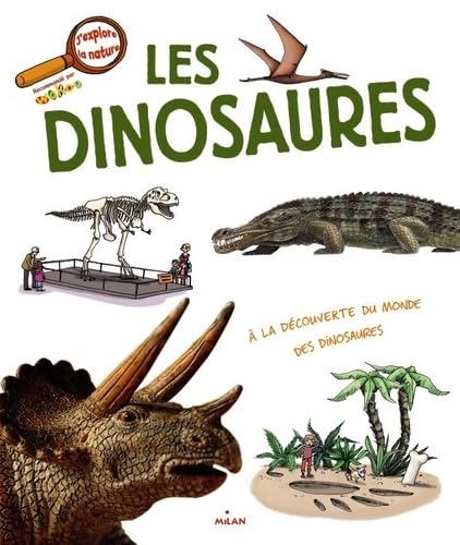 Les dinosaures 9782745952608