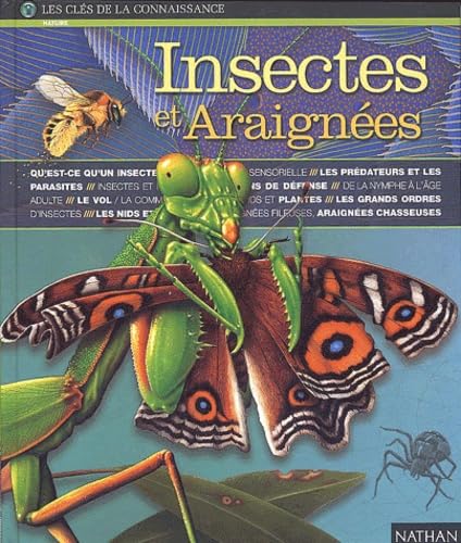 Insectes et araignées 9782092772379