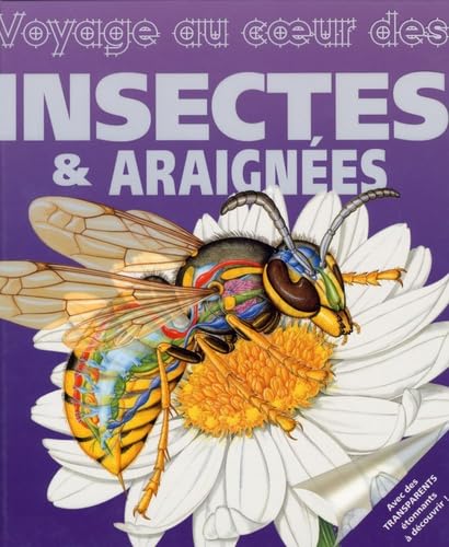 Voyage au coeur des insectes et araignées 9782700026610