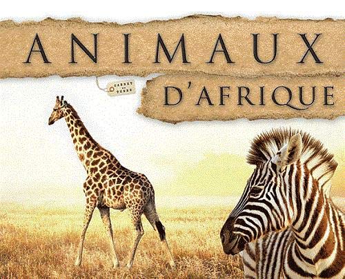 Animaux d'Afrique 9782365880237