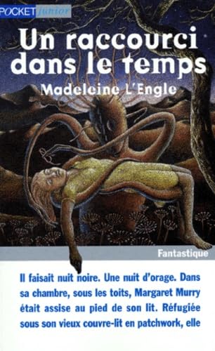 Un raccourci dans le temps 9782266081597