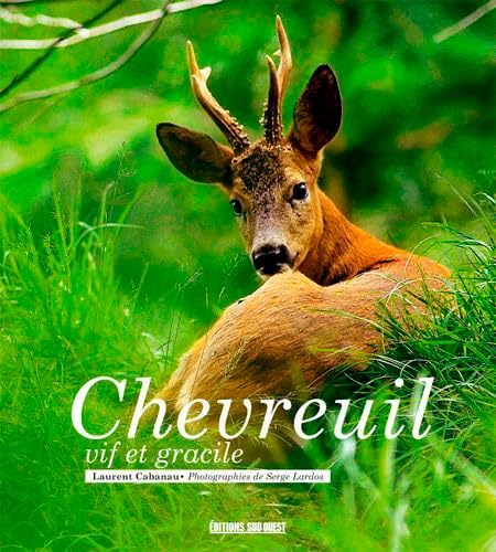 Chevreuil 9782817704272