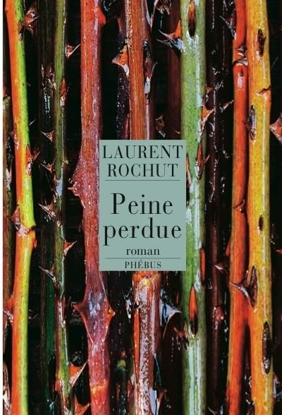 Peine perdue 9782752902030