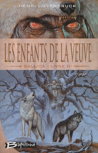Les enfants de la veuve 9782915549157