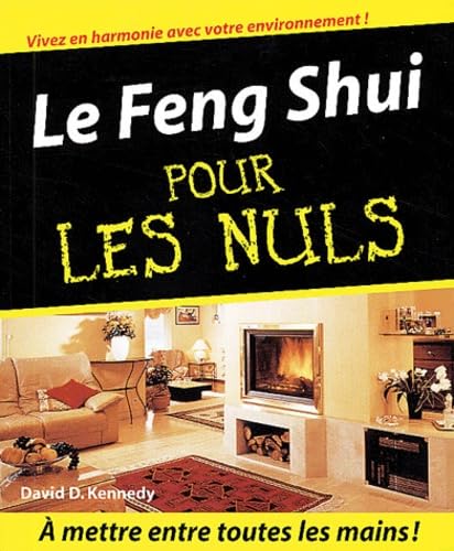 FENG SHUI POUR LES NULS 9782876916876