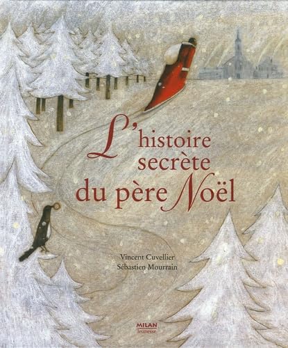 L'histoire secrète du père Noël 9782745915849