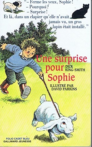 Une surprise pour Sophie 9782070584710