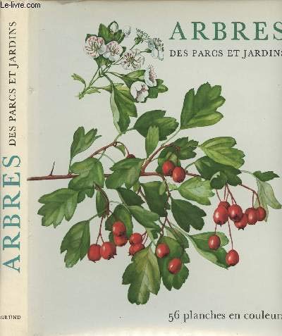 Arbres des parcs et jardins 