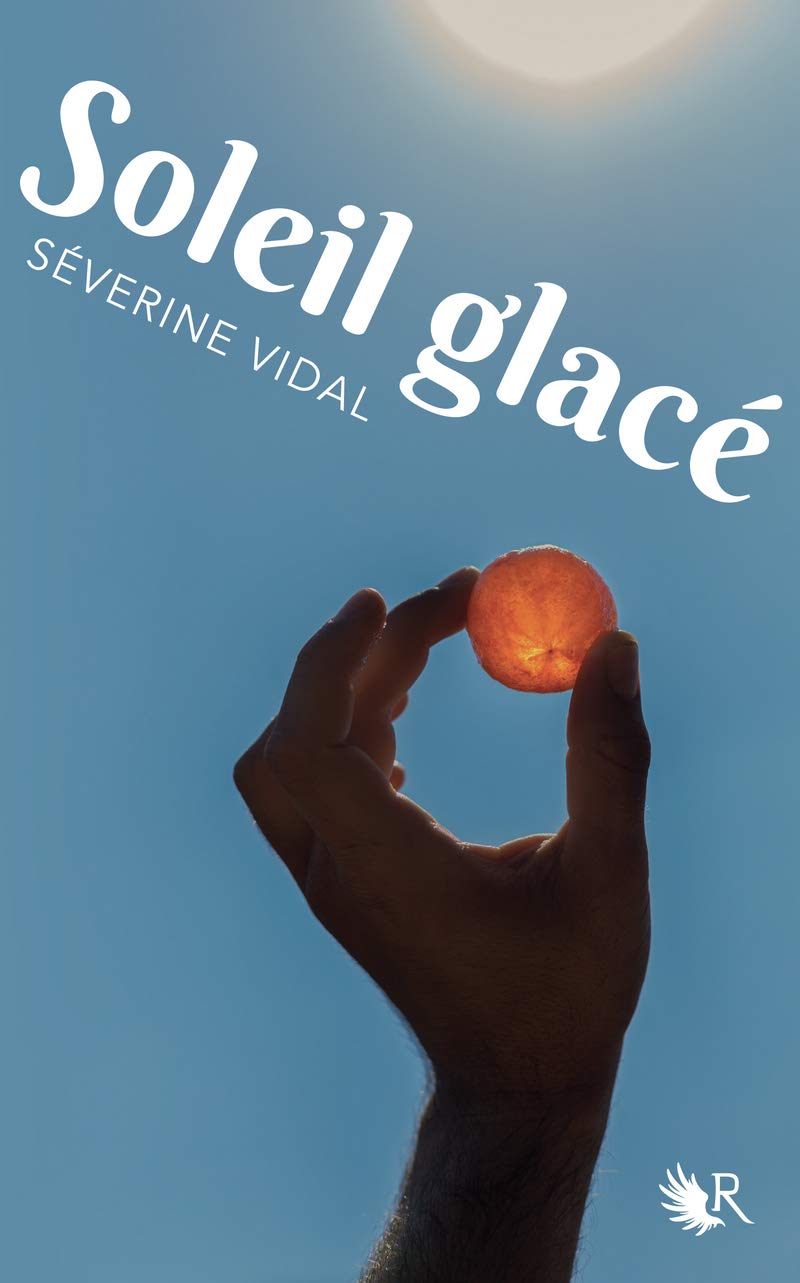 Soleil glacé 9782221246160