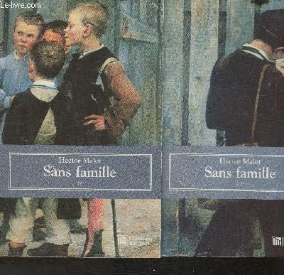 Sans Famille: I 9782845950382
