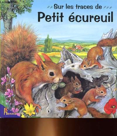 Petit ecureuil 9782800661971