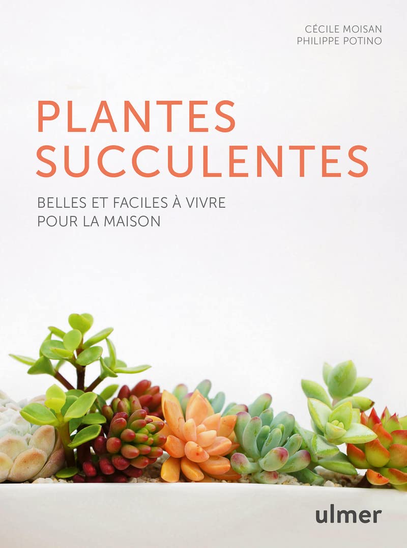 Les plantes succulentes - Belles et faciles à vivre pour la maison 9782841389582