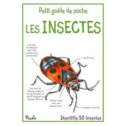 Les insectes 9782753020382