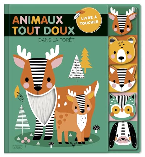 Dans la forêt 9782244313115