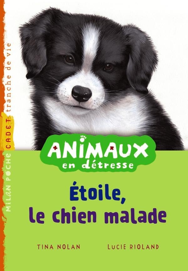 Étoile chiot malade: T.9 9782745943477