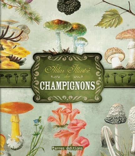 ATLAS ILLUSTRE DES CHAMPIGNONS 9782355301889