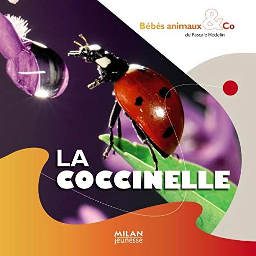 La coccinelle 9782745942906