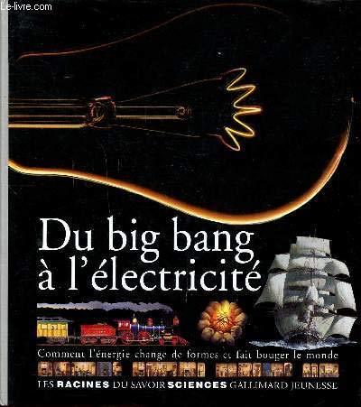 Du big bang à l'électricité: Comment l'énergie change de formes et fait bouger le monde 9782070581955