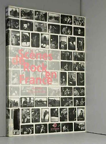 Scènes de rock en France 9782867388682