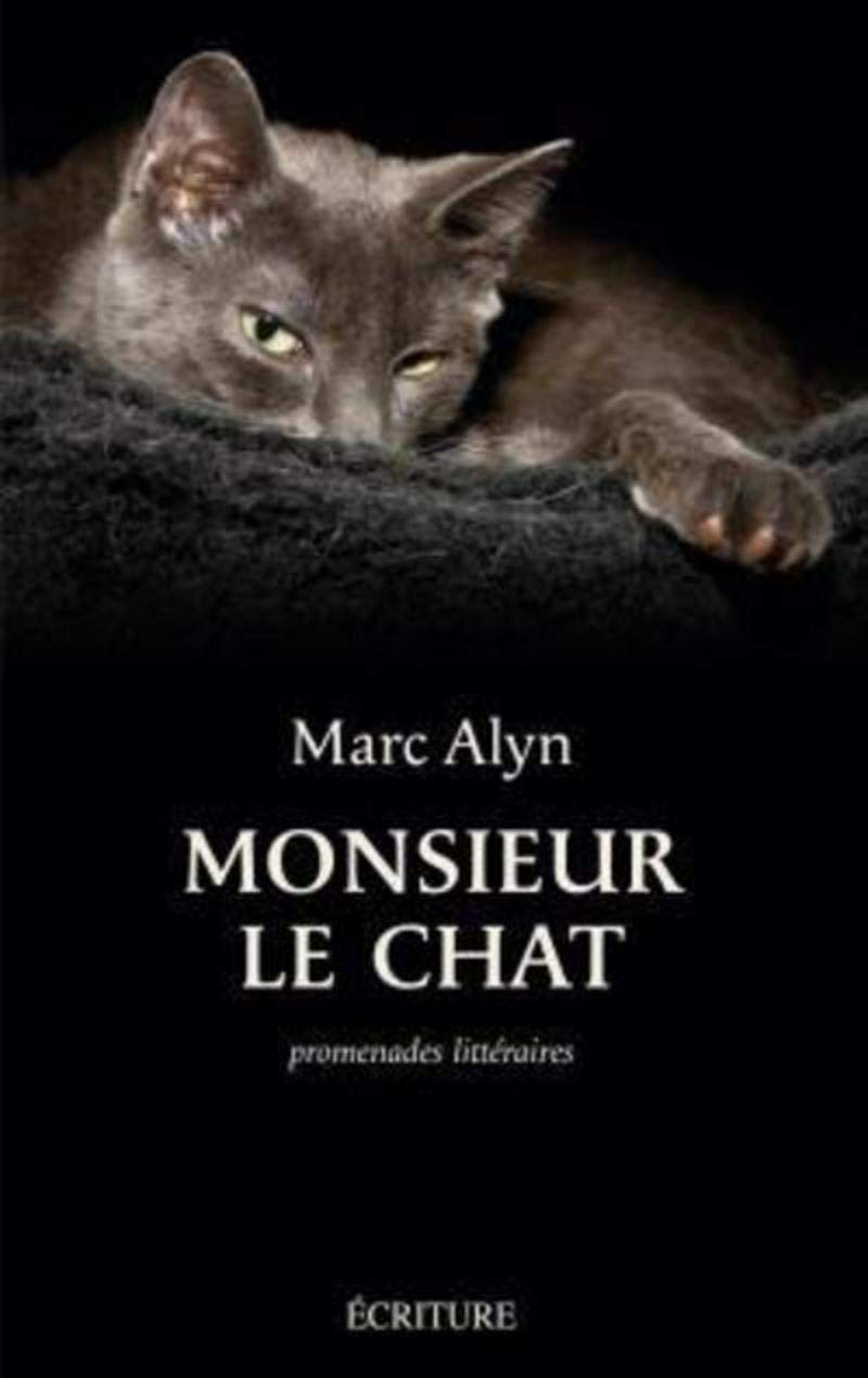 Monsieur le chat 9782909240923