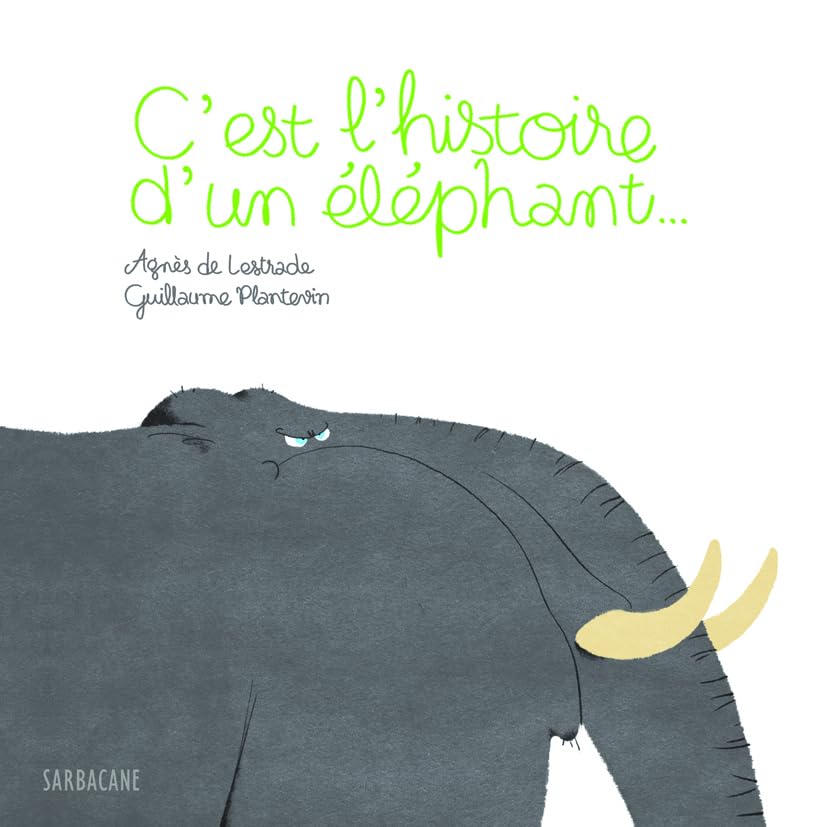 C'EST L'HISTOIRE D'UN ELEPHANT 9782848655055