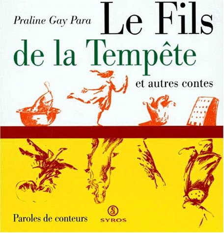 Le fils de la tempête et autres contes 9782841461875