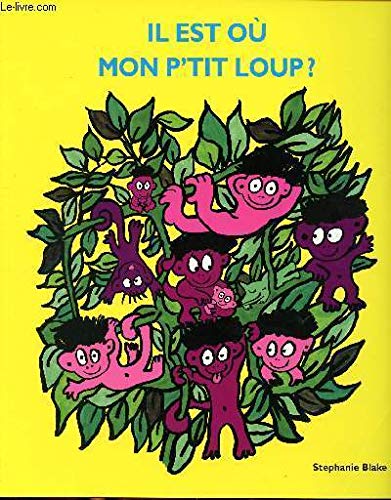 Il est où, mon p'tit loup ? 9782211210515