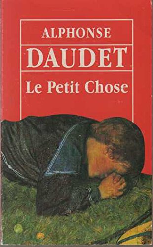 Le petit chose 9782743405854