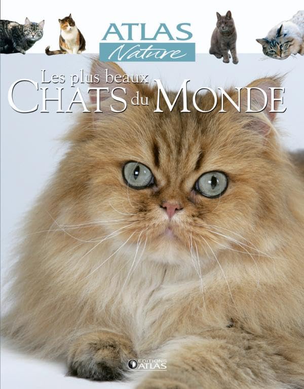 Les plus beaux chats du monde 9782723456937