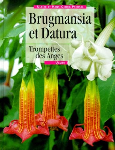 Brugmansia et Datura : Trompettes des Anges 9782841381302