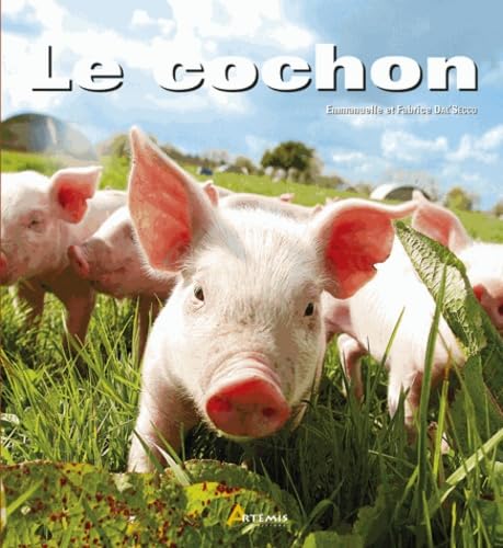 Cochon 9782844167163