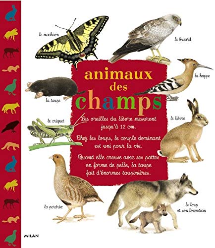 Animaux Des Champs 9782745903181