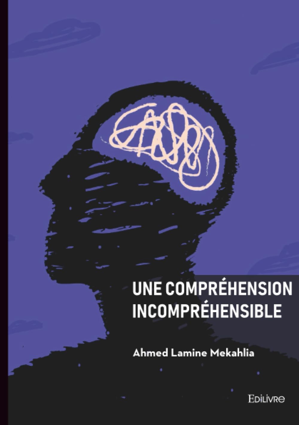 Une compréhension incompréhensible 9782414813704