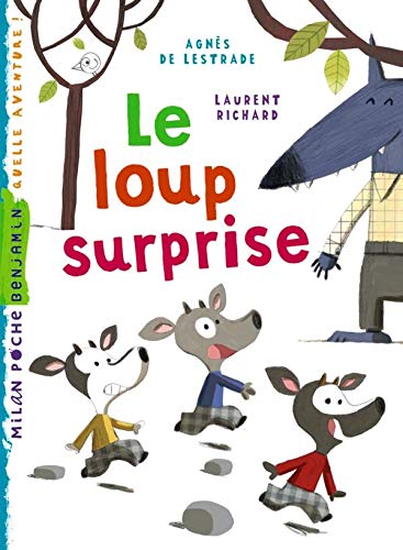 Un loup surprise 9782745941886