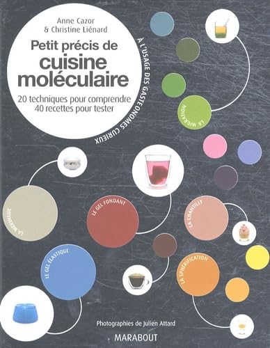 Petit précis de cuisine moléculaire: 20 Techniques pour comprendre, 40 recettes pour tester 9782501058667