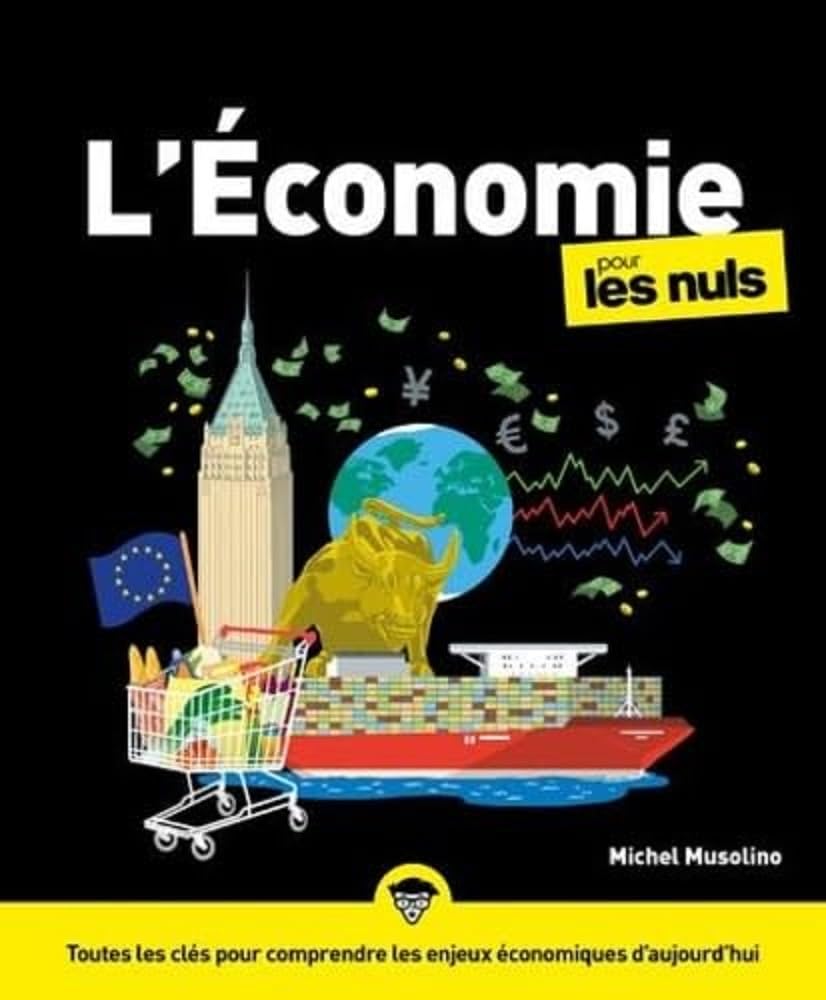 L'économie pour les Nuls : Livre d'économie, Introduction à l'économie pour comprendre son fonctionnement, Découvrez les principes de l'économie et ses théories clairement et simplement 9782412073117