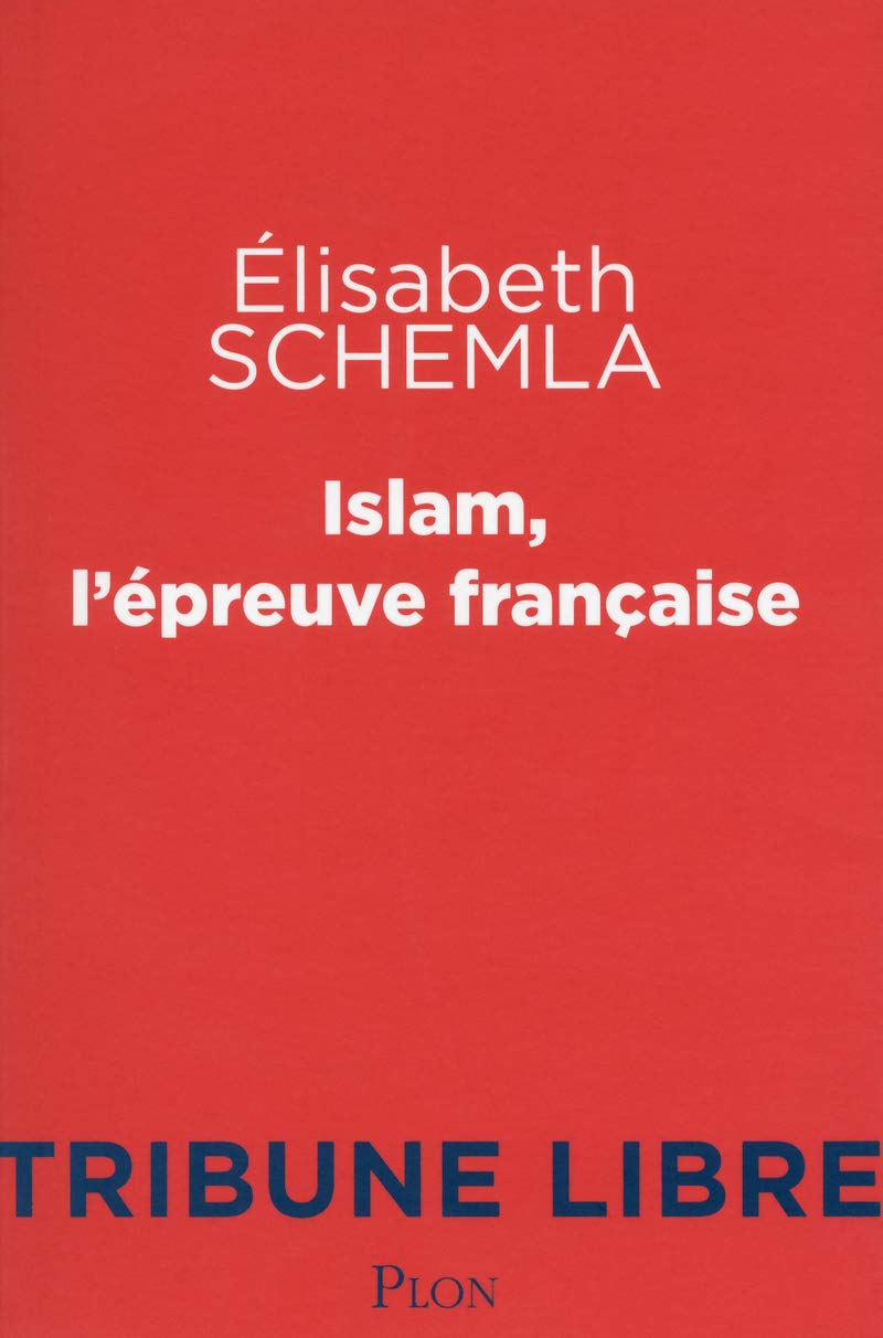 Islam, l'épreuve française 9782259220460
