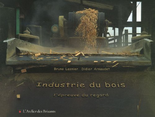 Industrie du bois: L'épreuve du regard 9782846230865