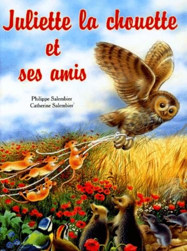 Juliette La Chouette Et Ses Amis 9782800678726