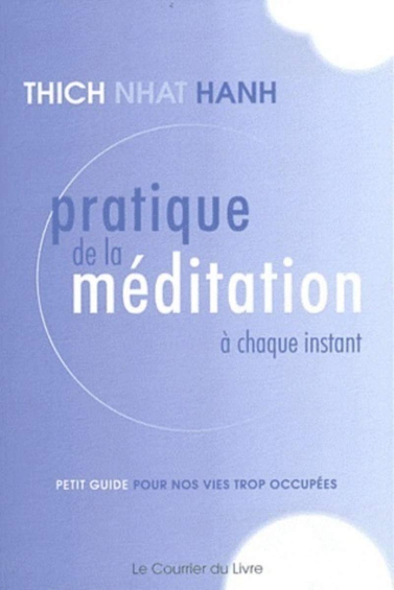 Pratique de la méditation à chaque instant 9782702909164