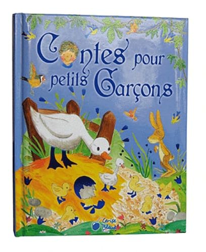 Contes pour Petits Garcons 9782758305644