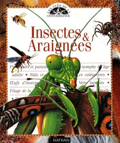 Insectes et araignées 9782092772287