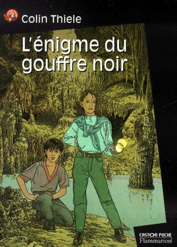 L'Énigme du gouffre noir 9782081647312