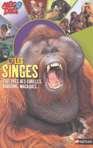 Les Singes : Tout près des gorilles, babouins, macaques 9782092113516