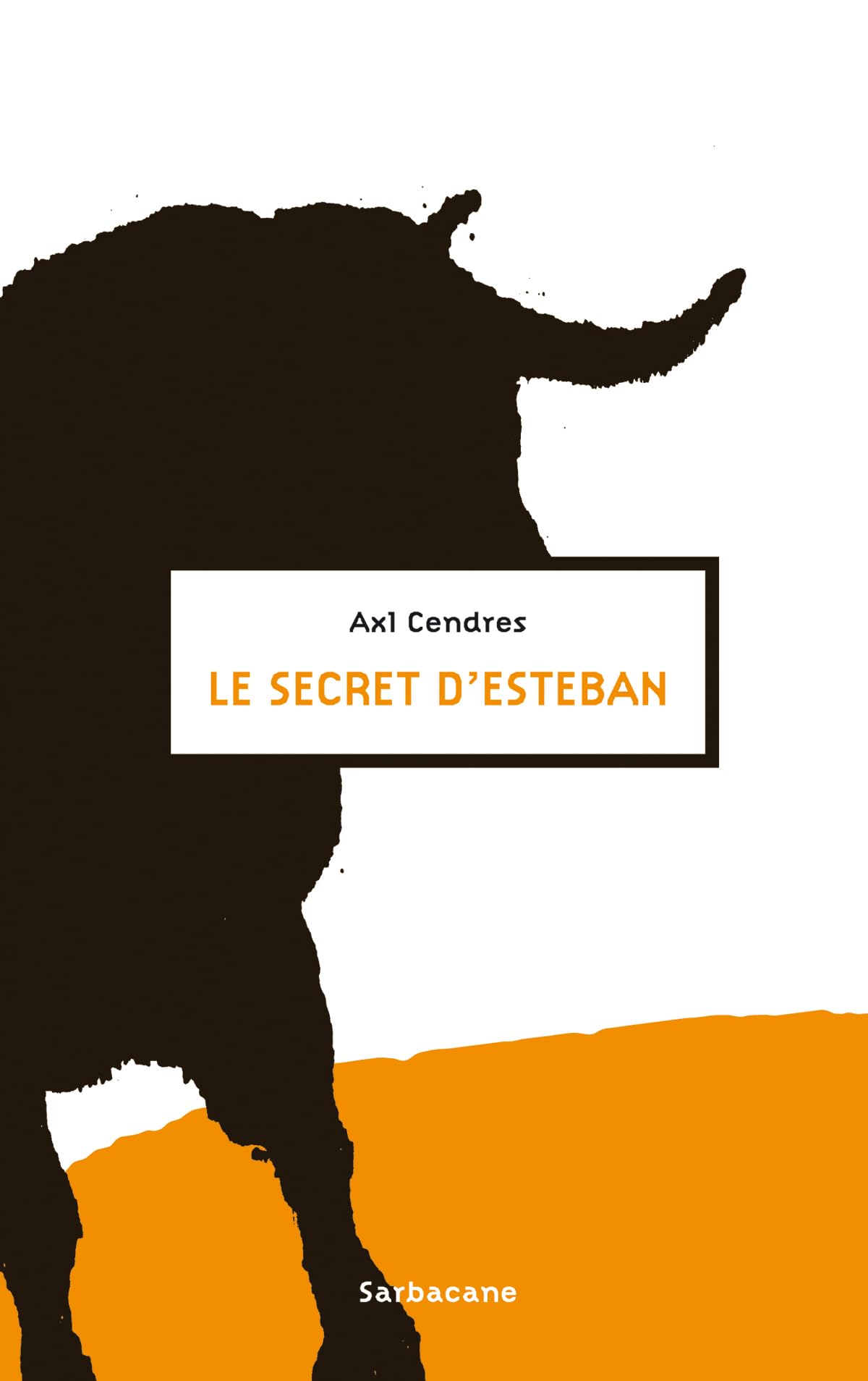 Le secret d'Esteban 9782848655260