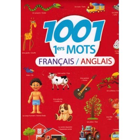 1001 1ers mots français/anglais 9782754216456