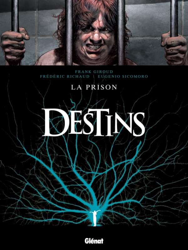 Destins - Tome 12: La Prison 9782723467643