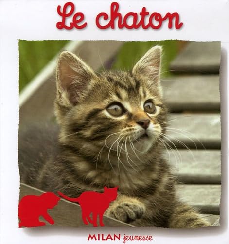 Le Chaton 9782745921819